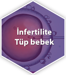kısırlık infertilite